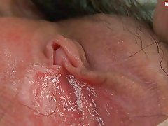 Harig, solo asiatiese kontraktering en nat