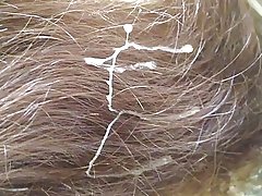 Die geheim kom die trein 003